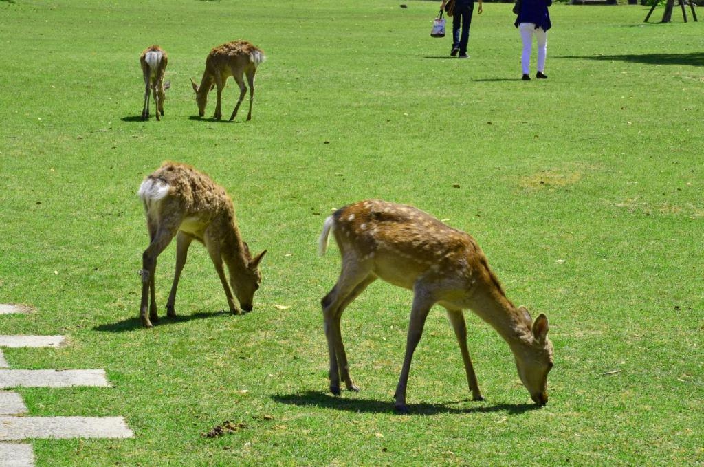 Nearby attraction