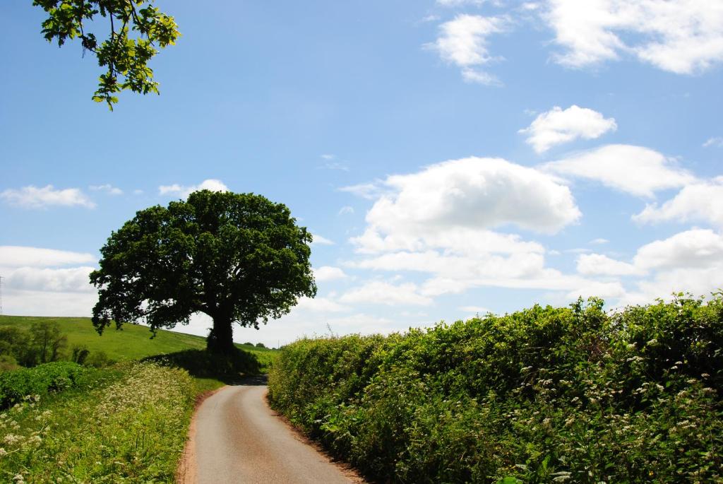 Blue Water Breaks, Dawlish Warren - pet-friendly stay