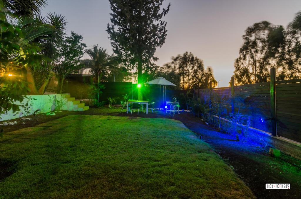 Garden, Beautiful Lake View Wooden House in Tiberias