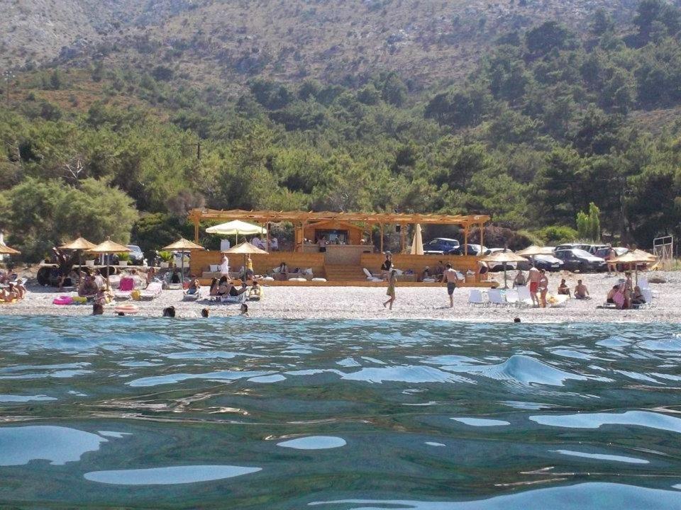 Ảnh 5