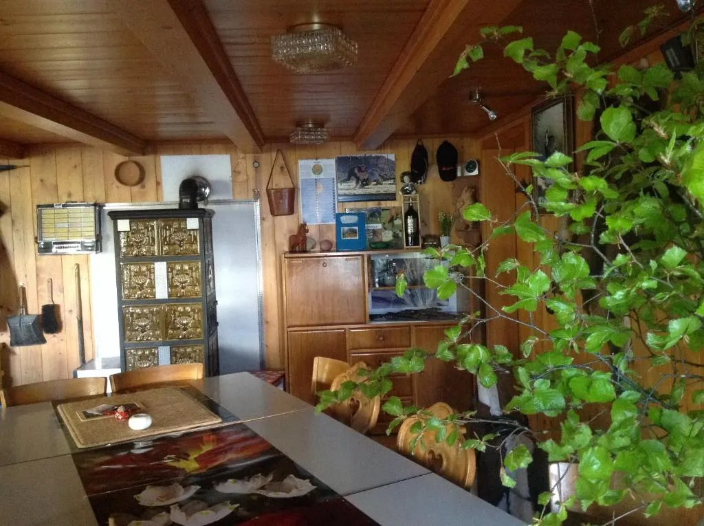 Panorama Hotel Wagenkehr, hotel in Innertkirchen