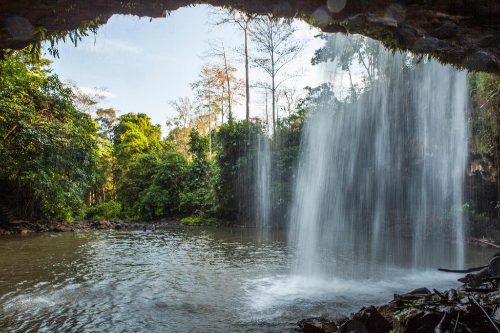 Surrounding environment