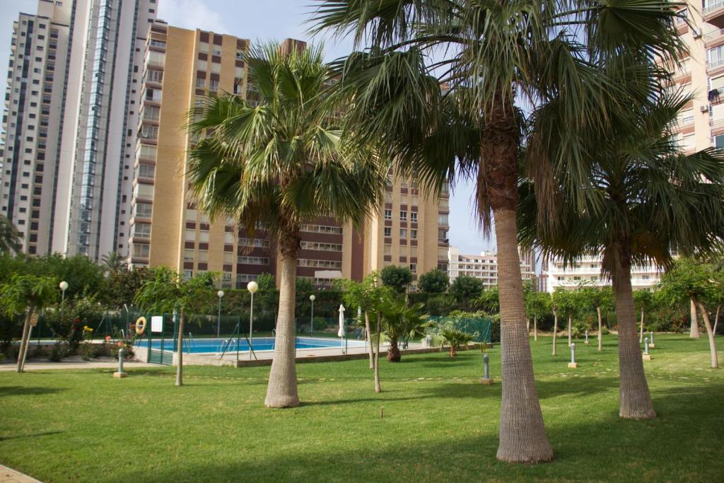 Apartamento Parque Torresol - 5