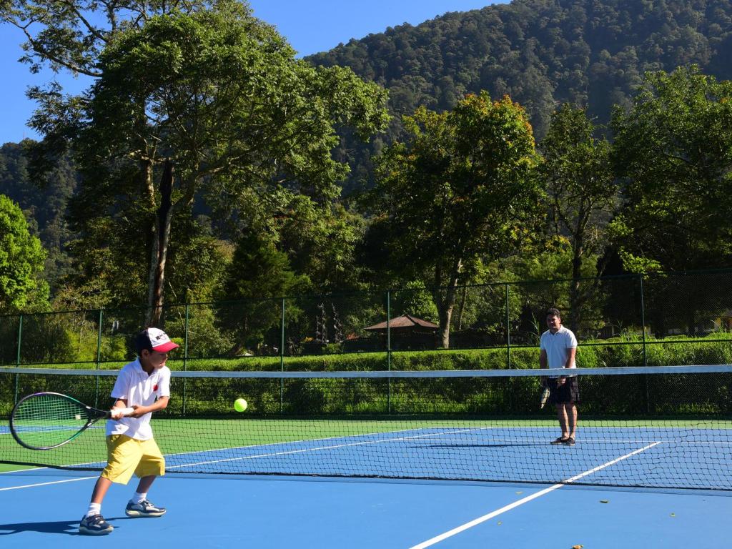 Tennis court