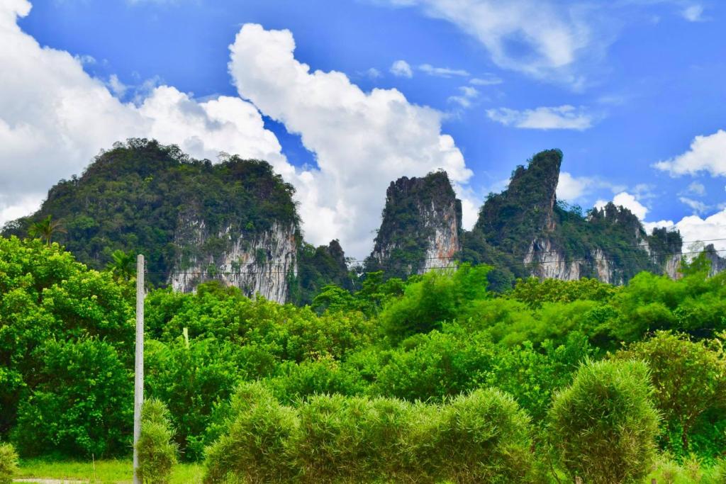 Surrounding environment