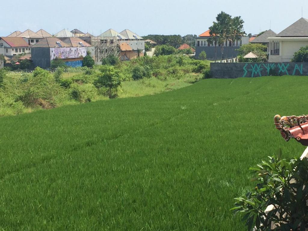 周辺観光スポット