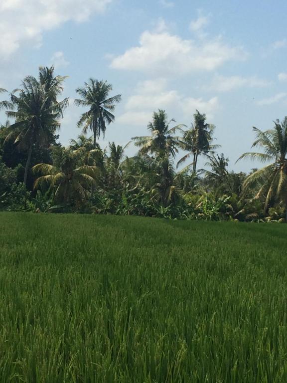 周辺観光スポット