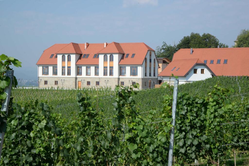 Weingut Taggenbrunn — Hotel in St. Georgen Am Langsee