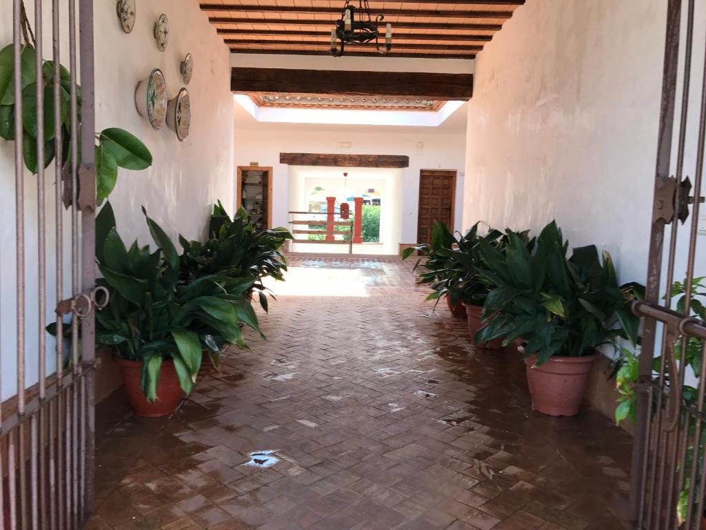 Apartamentos Turisticos - Hostal Los Alisos photo