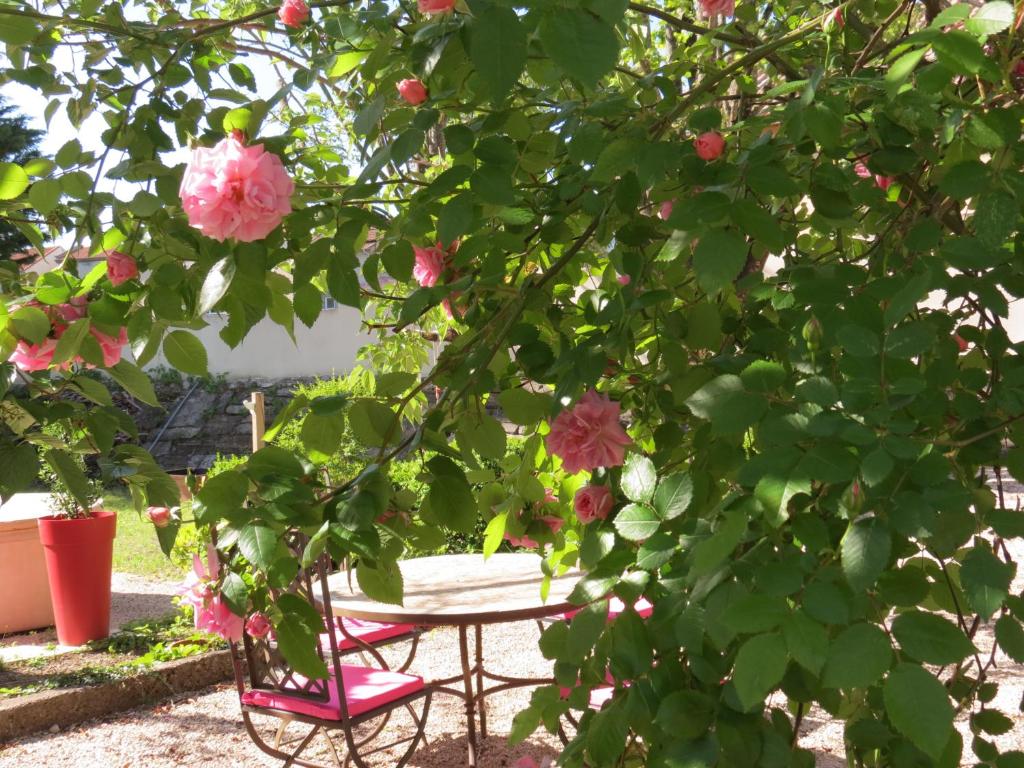 Le Jardin - 5