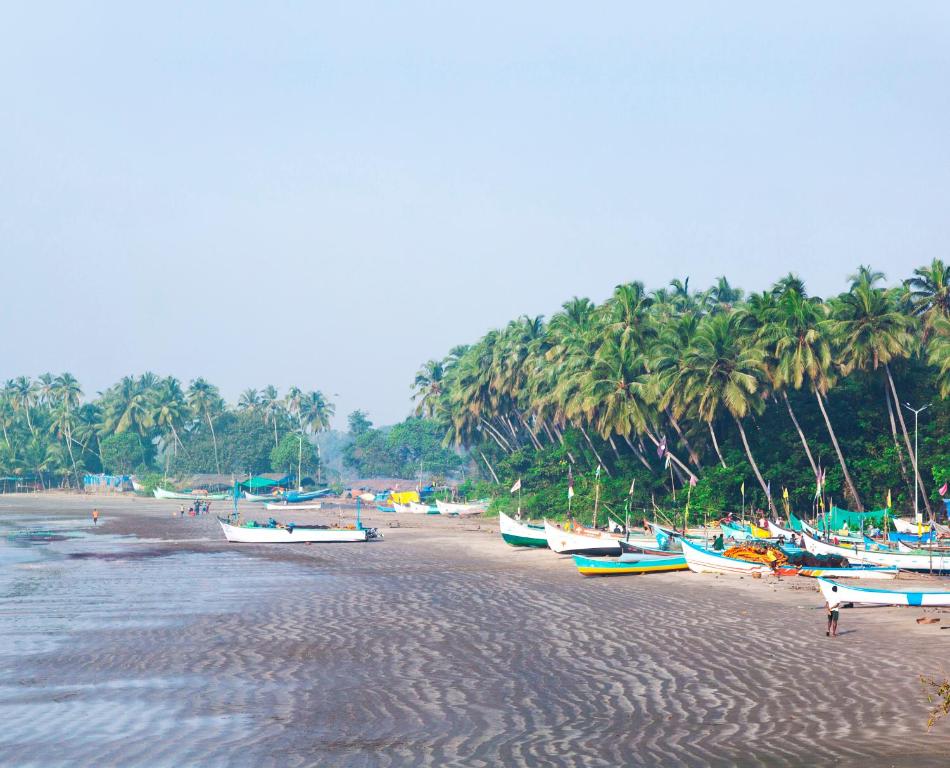 Ahilya By The Sea photo