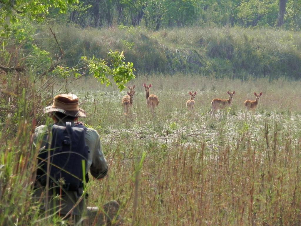 Racyshade Resort- Bardia National Park photo
