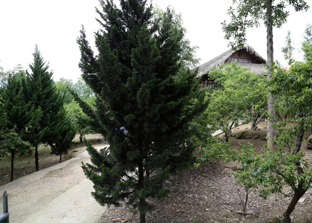 Exterior view