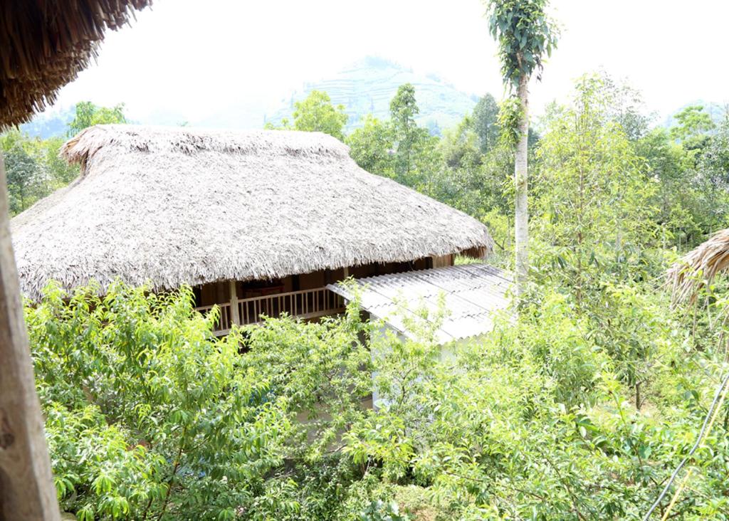 View