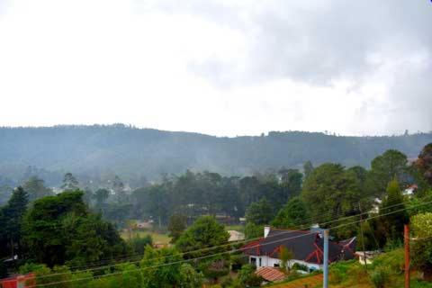 Max Mount View photo
