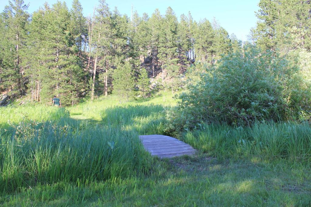 Black Elk Resort photo