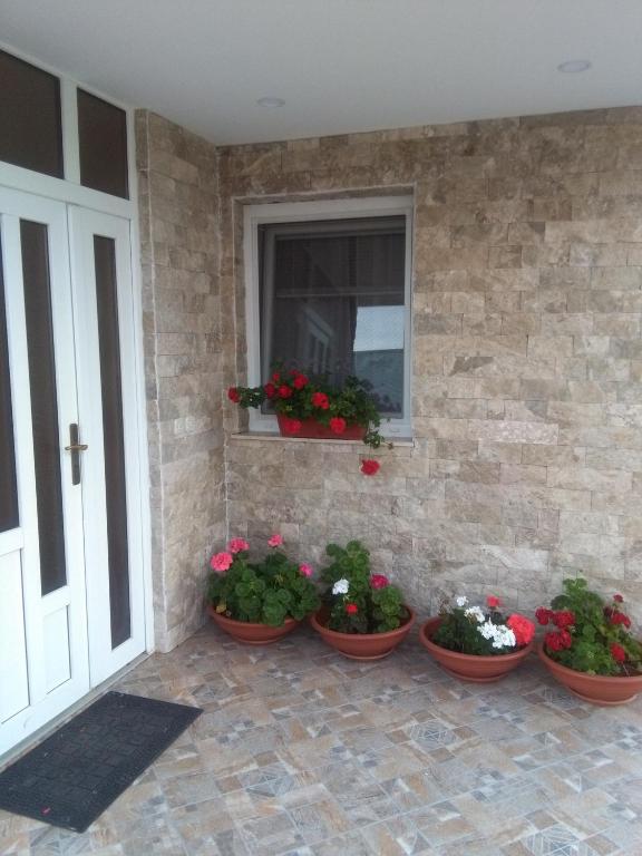 B&amp;B Jelena — Hotel in Medjugorje