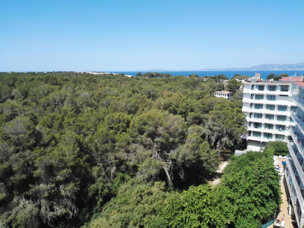 Hotel Manaus — Cala Blava, Balearic Islands