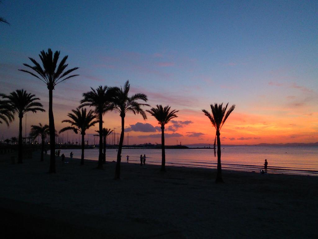 Hotel Manaus — Cala Blava, Balearic Islands
