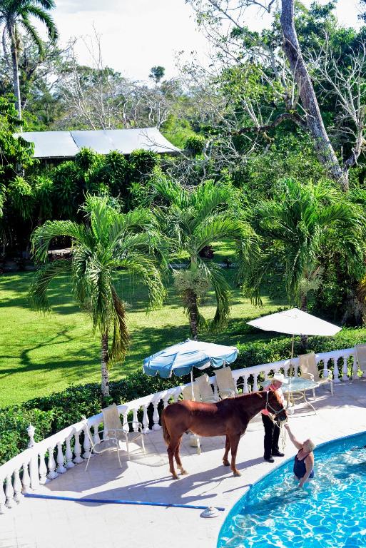 Banana Bank Lodge & Jungle Horseback Adventures photo