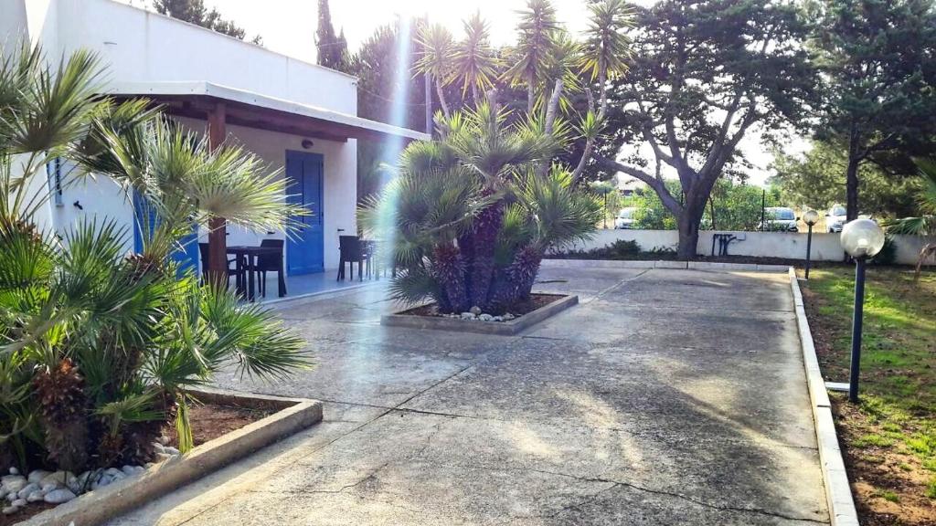 B&B Perla del Sud - 4