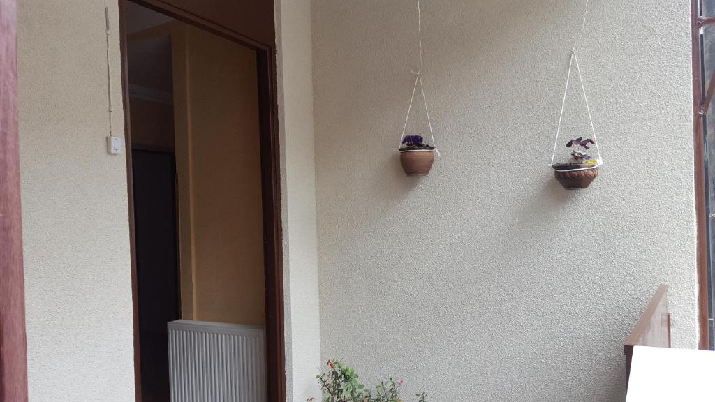 Homestay Nika photo