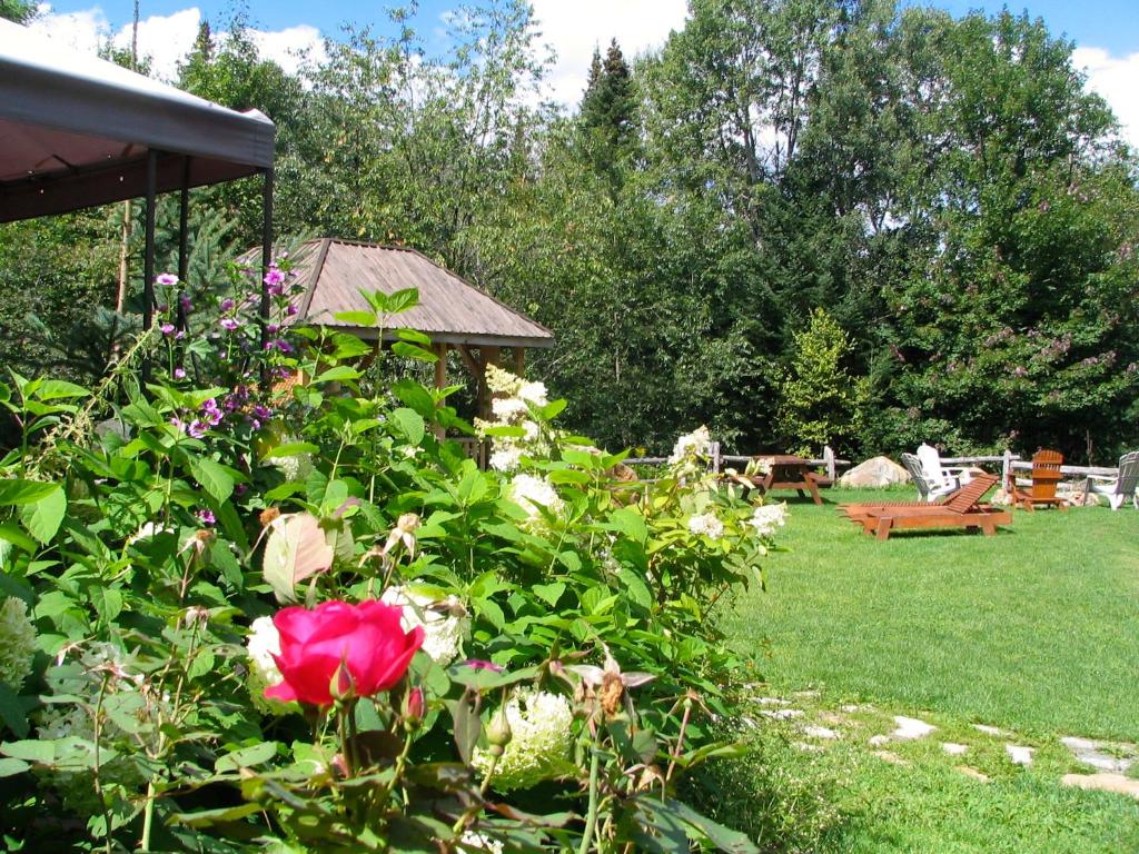 Chalets et Studios Le Vent Du Nord — Hotel in Lac Superieur (QC)