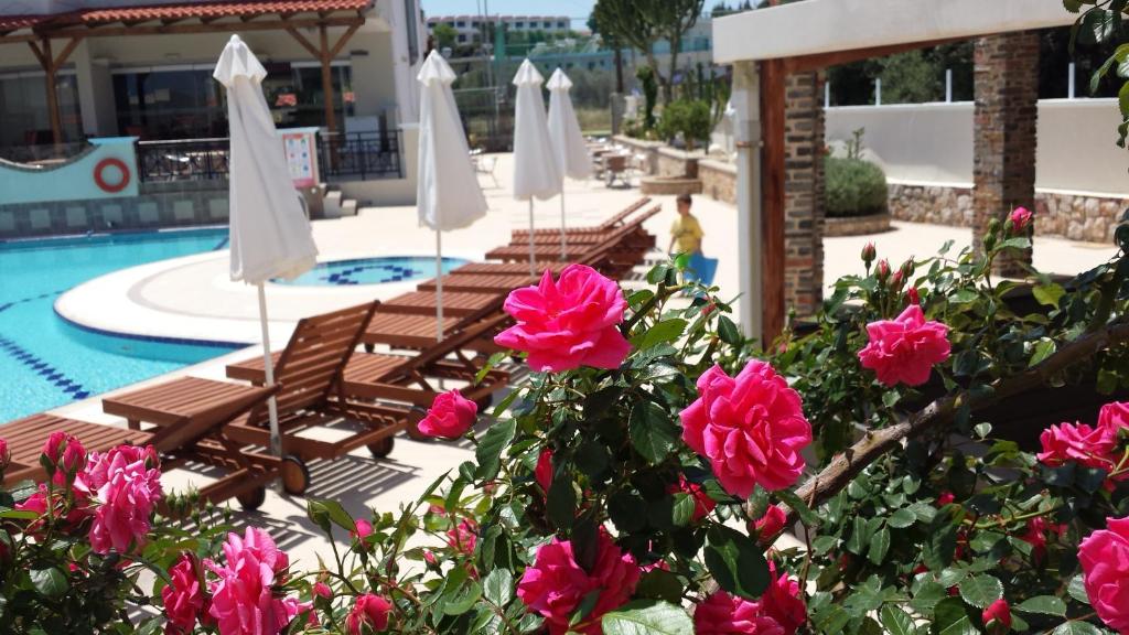 Bright Star — Swimming pool in Faliraki, South Aegean