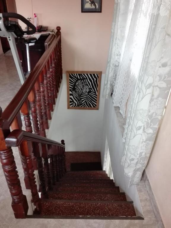 Pedro View Homestay photo