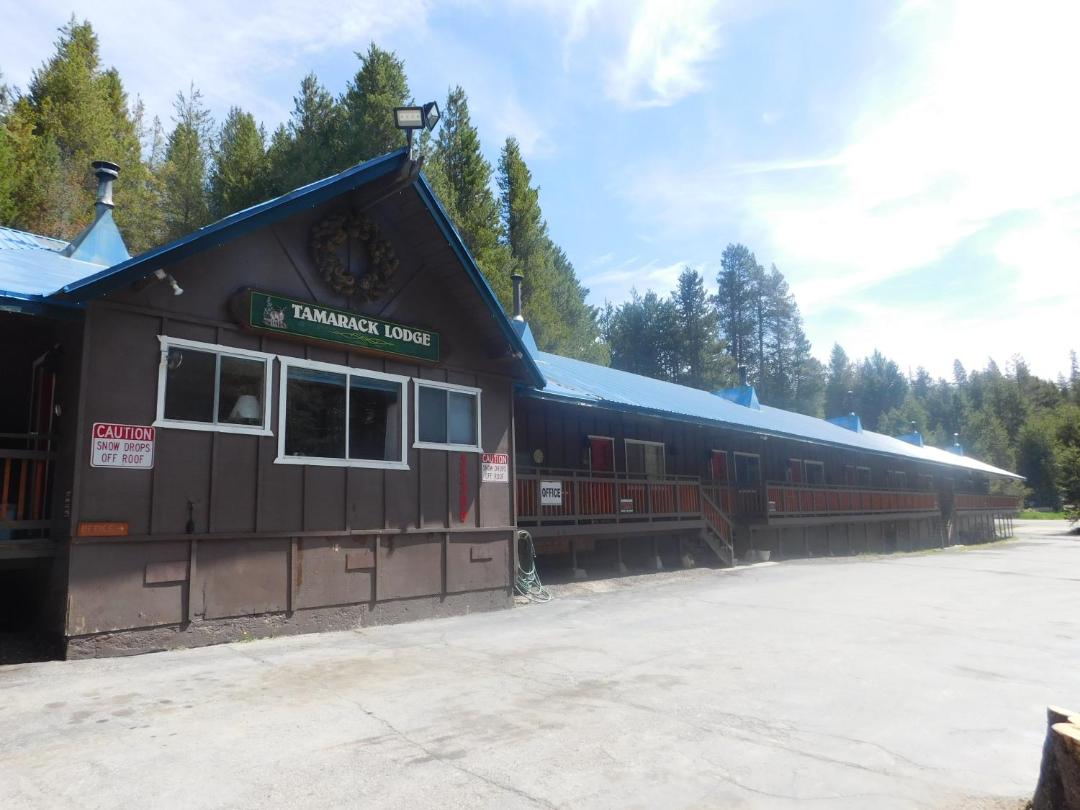The Tamarack Lodge 전경