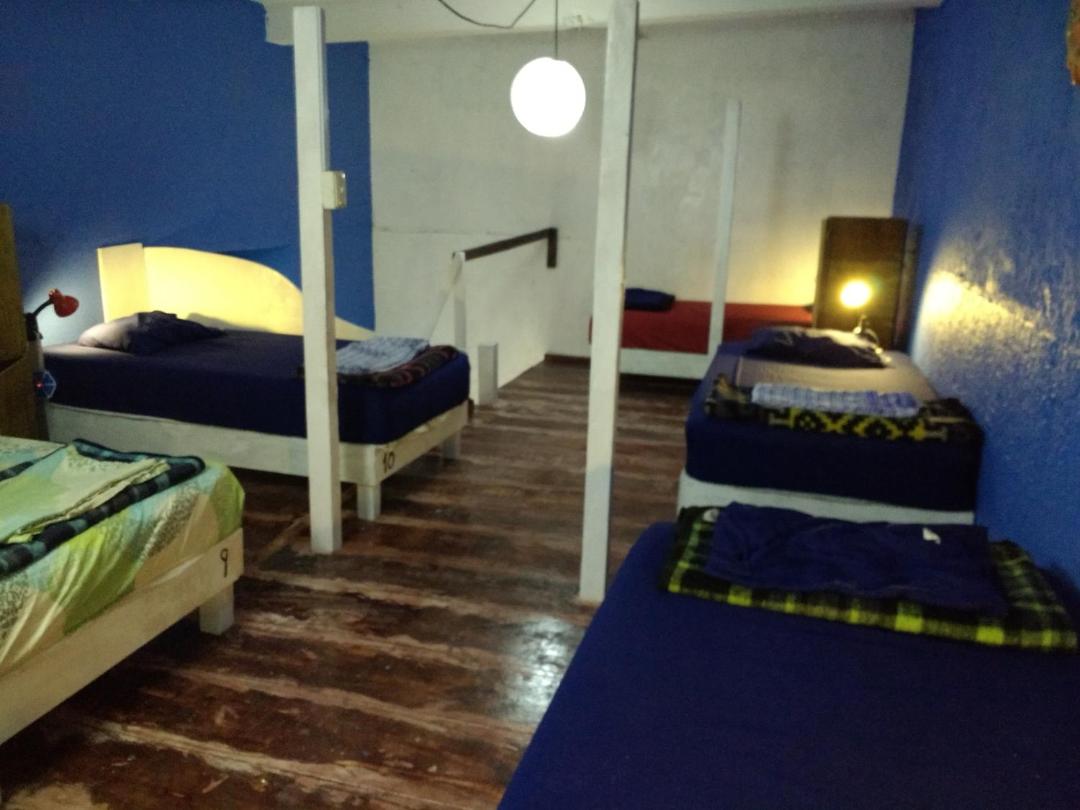 Iguana Hostel Oaxaca 전경
