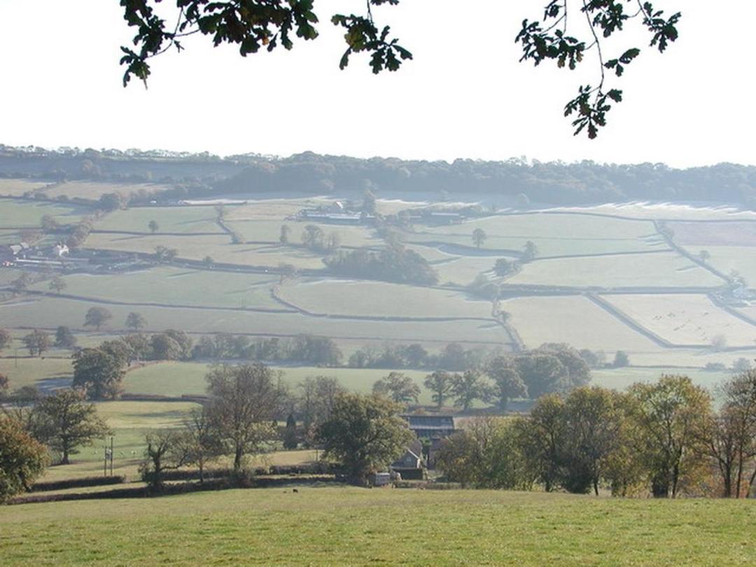 Swallows Cottage 3