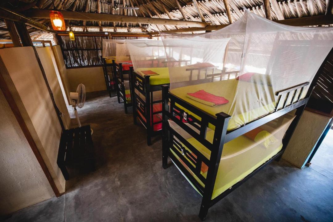 Tiki Hut Hostel 사진