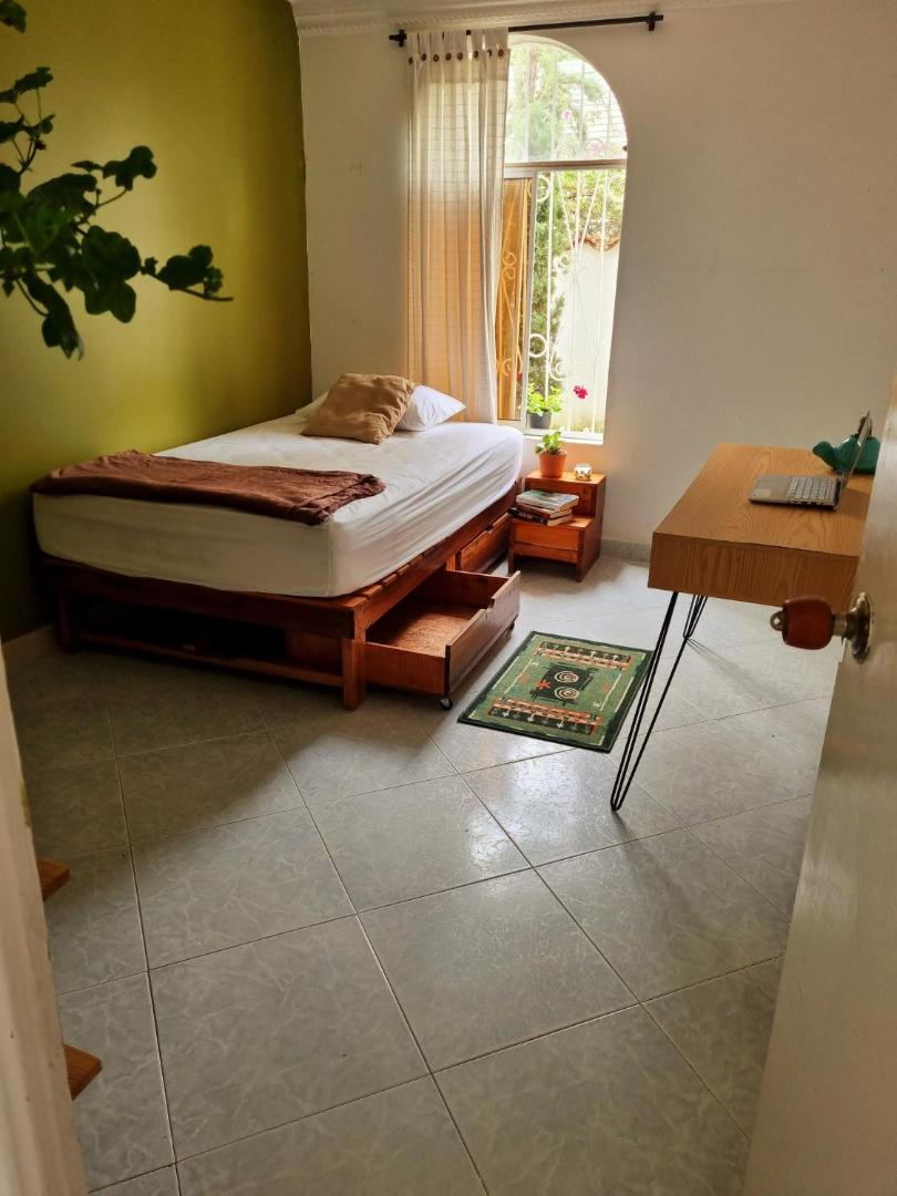 Tatami Hostel 전경