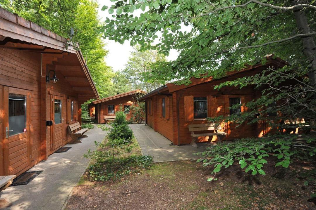 Lodges Veluwse Poort 전경