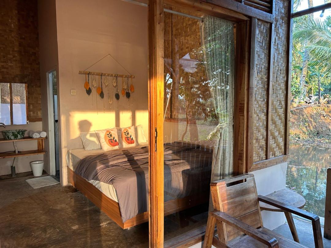 Paddies Homestay New 전경