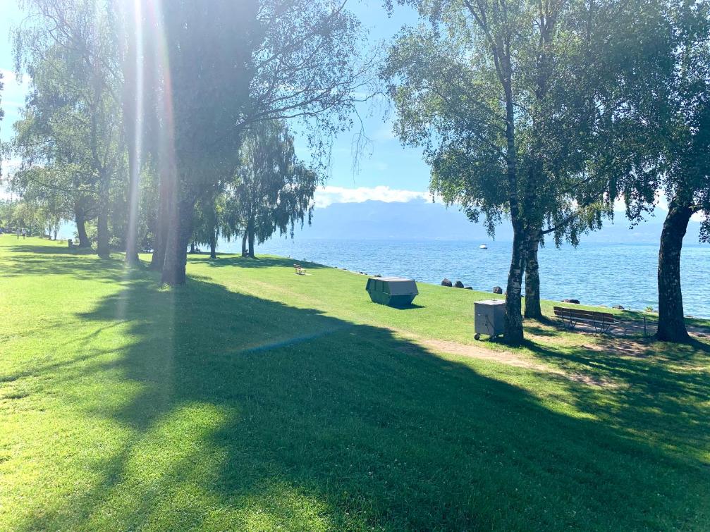 Cape Homes St-Sulpice – Bild