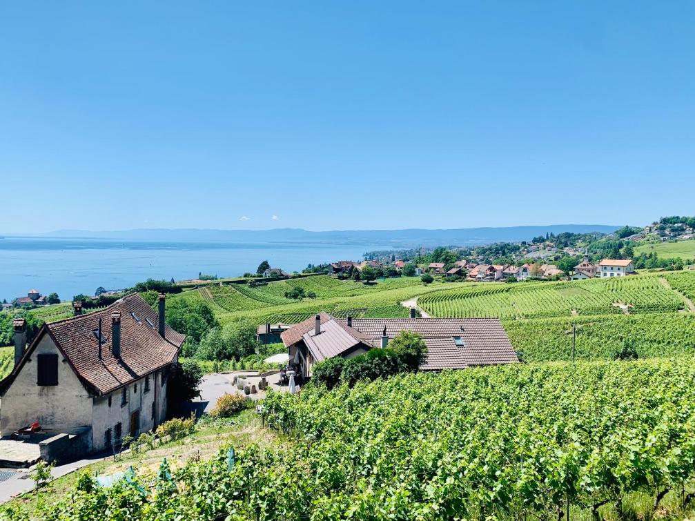 #Lavaux – Bild