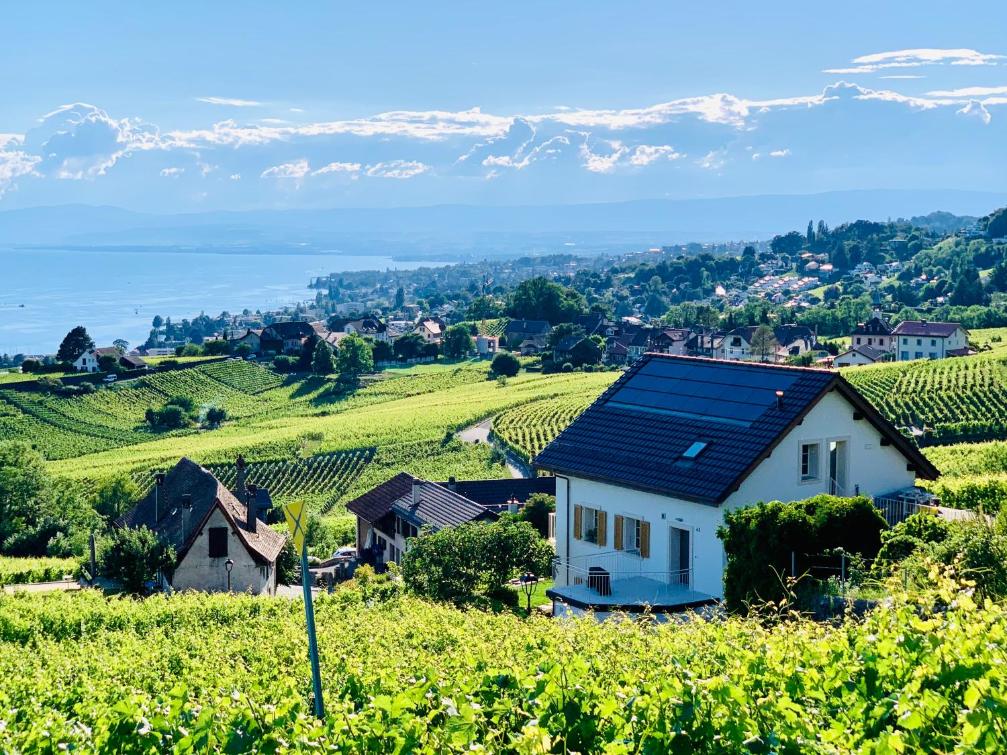 #Lavaux – Bild