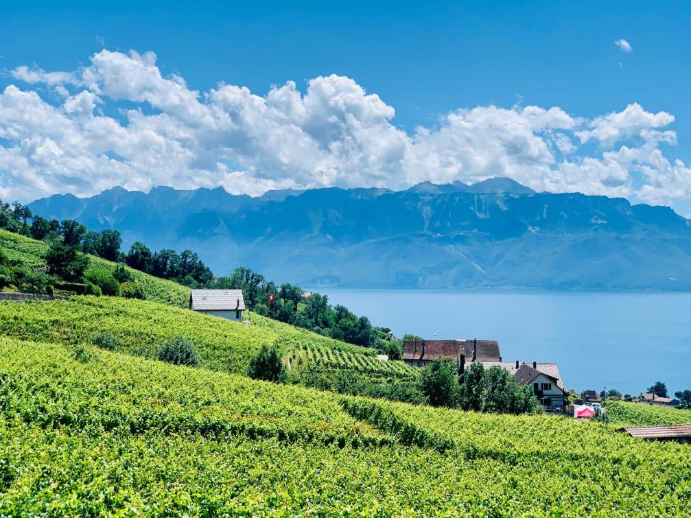 #Lavaux – Bild