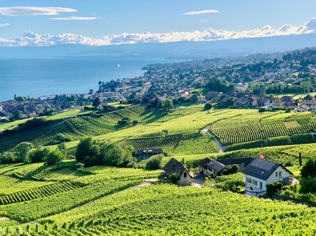 #Lavaux – Bild