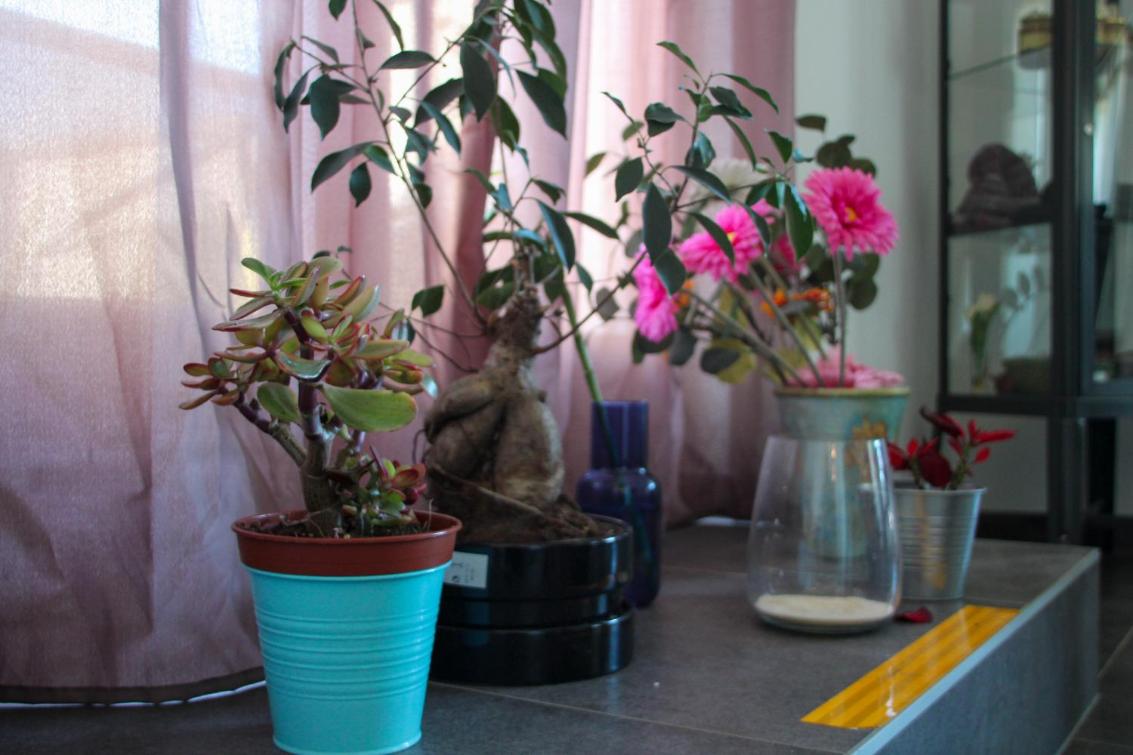 Namasté - Ayurveda & Benessere – Bild