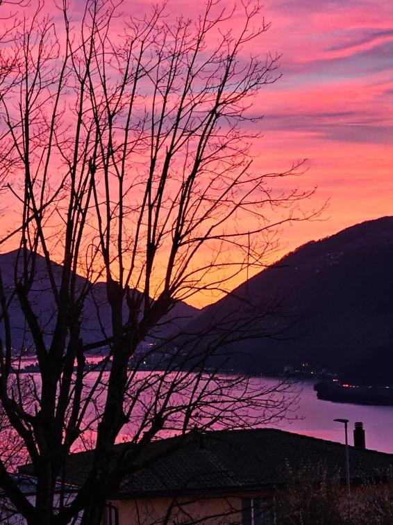 Ristorante Camino – Bild