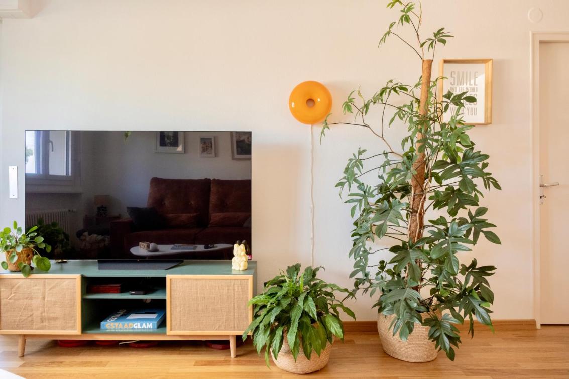 Chambre au bord du lac Léman – image