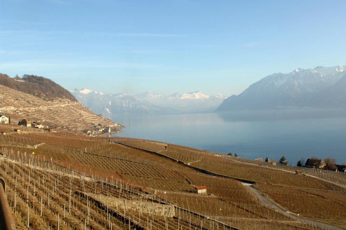 Auberge de la Gare – Bild