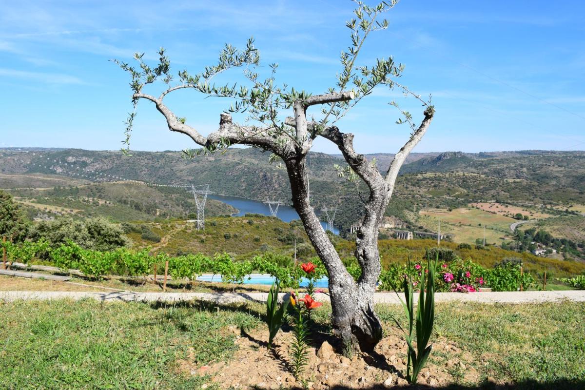 Photo - Douro Natura