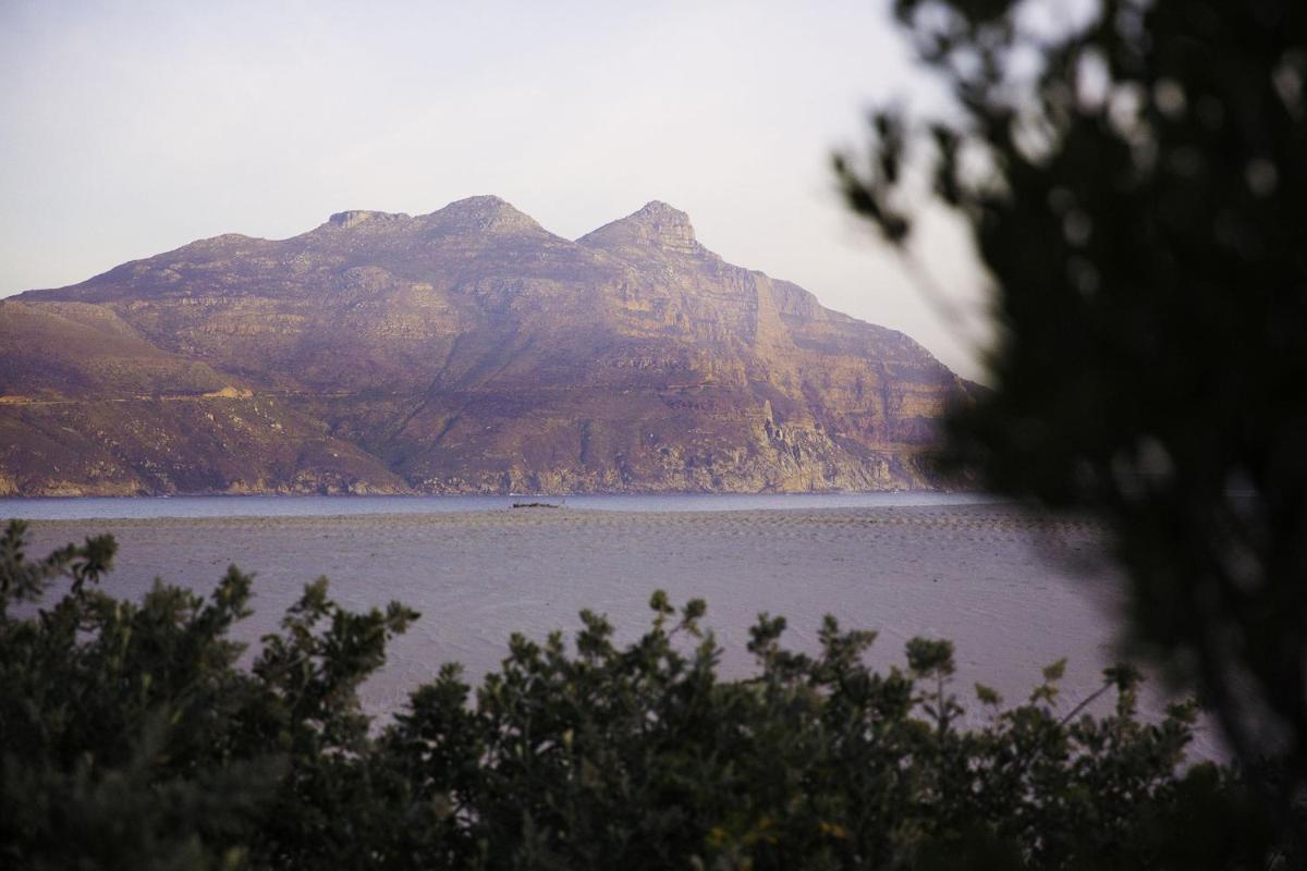 Foto - The Beach House Guest House