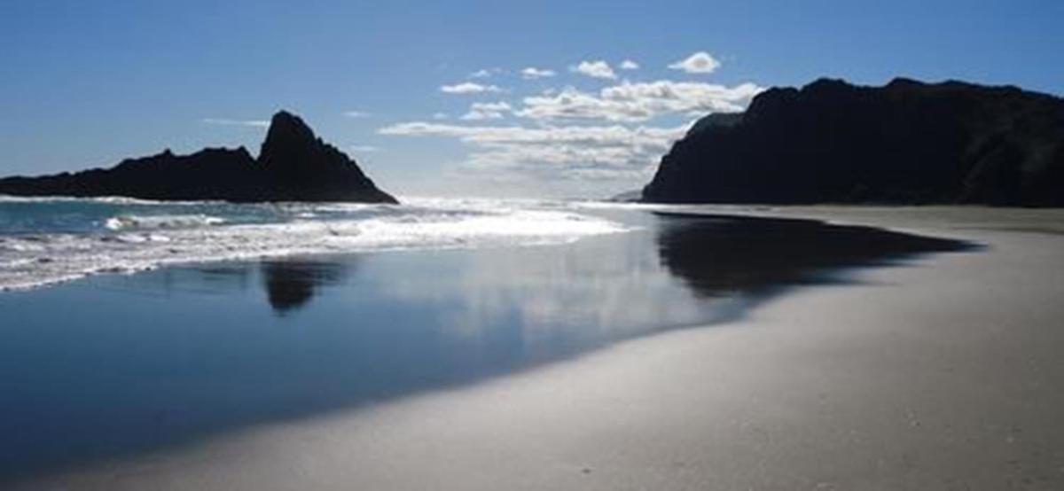 Photo - Auckland Clifftop