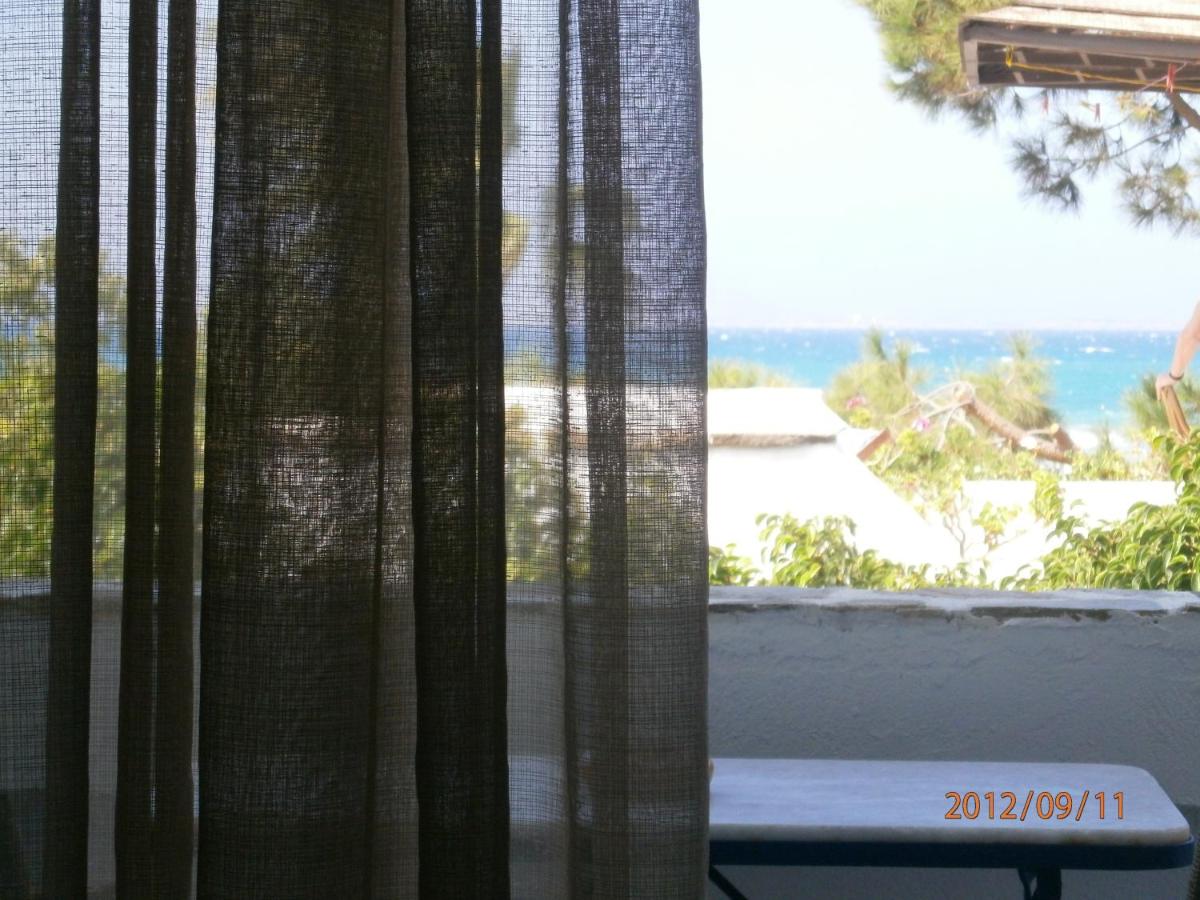 Foto - Alkyoni Beach Hotel