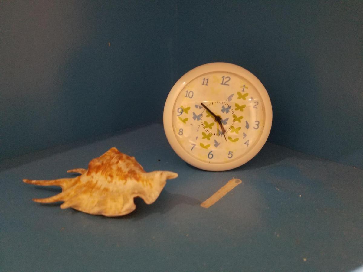 Foto - Skylab Guesthouse